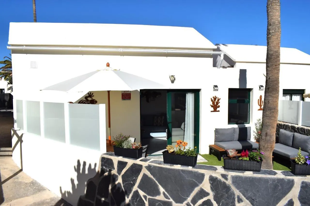 Bungalow La Palmera: Beachfront with Pool View Costa Teguise Apartment