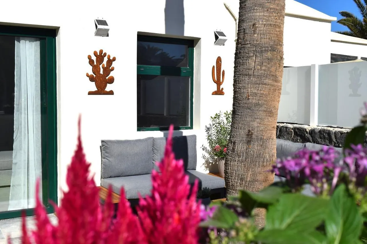 Apartment Bungalow La Palmera: Beachfront with Pool View Costa Teguise Spain